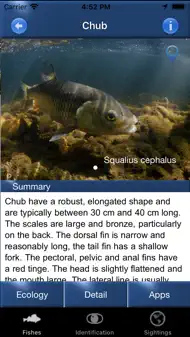 Fish Id - Freshwater Fish UK iphone bilder 1