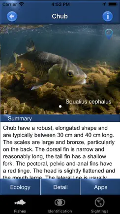 Fish Id - Freshwater Fish UK iPhone image 2