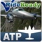 ATP Airplane FAA Checkride
