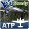 RideReady will help make you confident and ready for your FAA Practical Test / Checkride (that combination of flight test and oral quizzing that you will need to pass in order to become an airline transport pilot) and allow you to impress the examiner with your knowledge of relevant knowledge areas as per the Practical Test Standards and current FAA practices and recommendations
