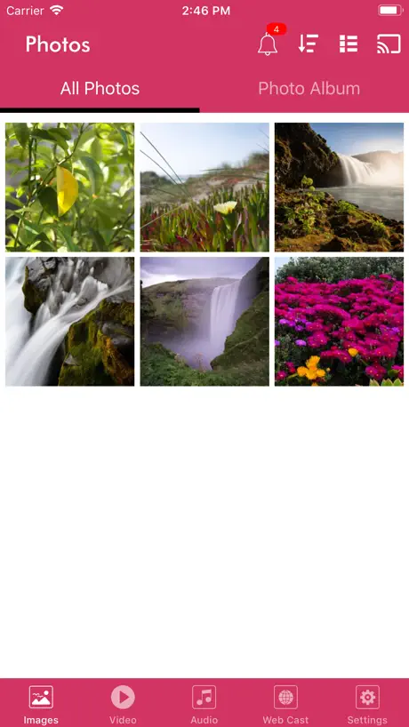 Journaux de Shelfy