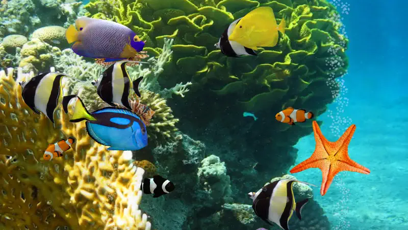 MyReef 3D Aquarium 2 HD screenshot 3 of 5