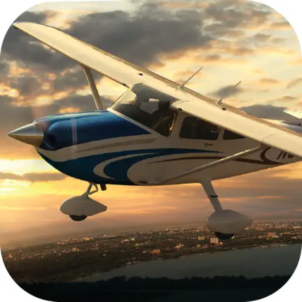 Flight Pilot Simulator 2018 Читы