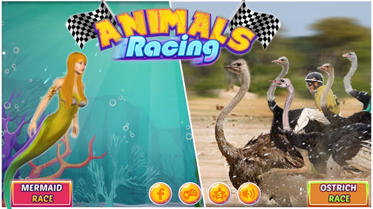 Ostrich Racing 3D Simulator