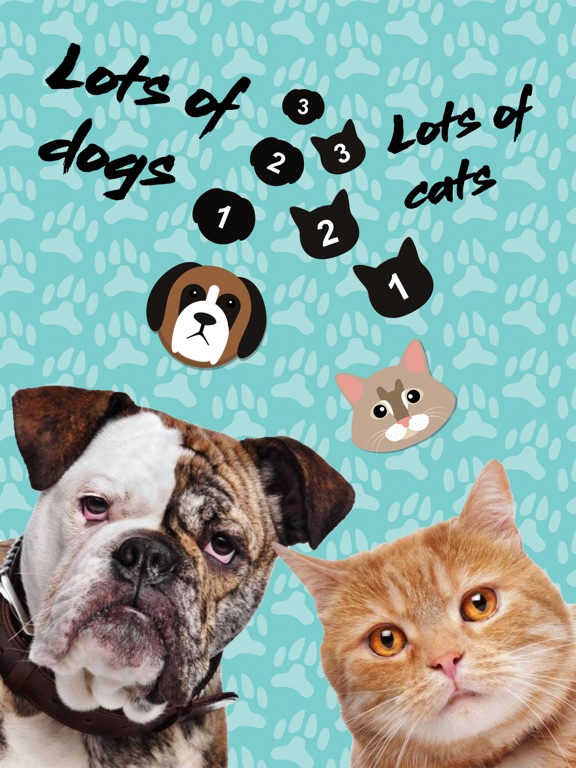 Screenshot #5 pour Les chiens et les chats sons - matous et aboie
