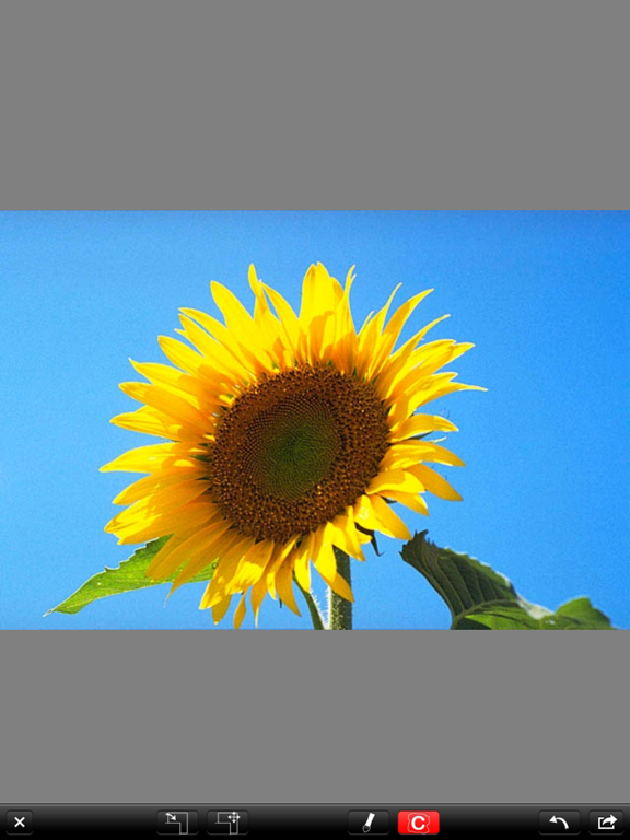 Screenshot #5 pour PictureBlenderLITE