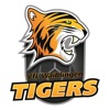 Waiblingen Tigers - Handball -