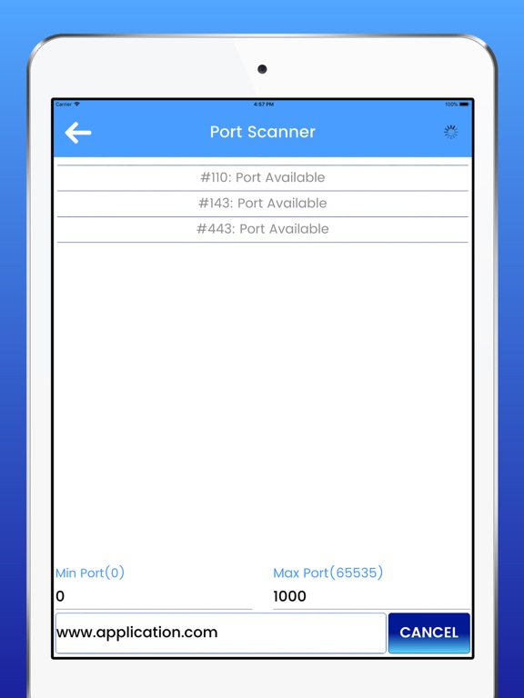 IP Tools - Network Utilities iPad screenshot 8 - Utilities app