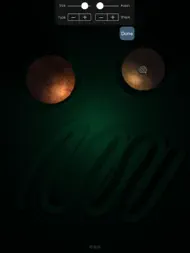 Sand Garden ipad bilder 2