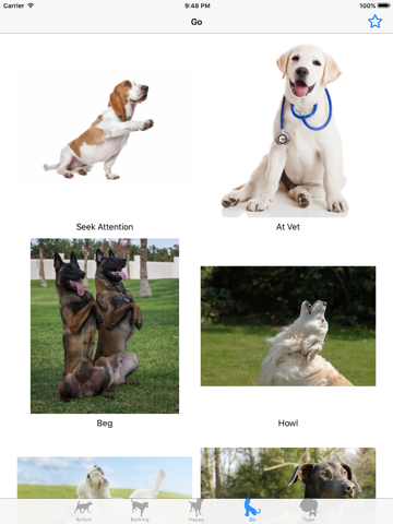 Screenshot #6 pour Son chien - Amoureux des chien