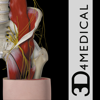 3D4Medical from Elsevier - Hip Pro III アートワーク