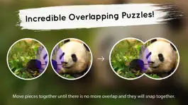 Game screenshot Venn: Jigsaw Puzzle apk