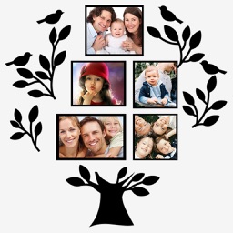 Family Tree: Photo Frames