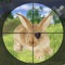 Wabbit Hunter is a fun first-person-shooter hunting game for iPhone and iPad, Choose your weapon, develop a steady hand, line up your sights, and master the skills to take the perfect shot at rabbits hiding in the countryside, in up to ten unique levels