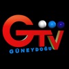 Güneydoğu TV