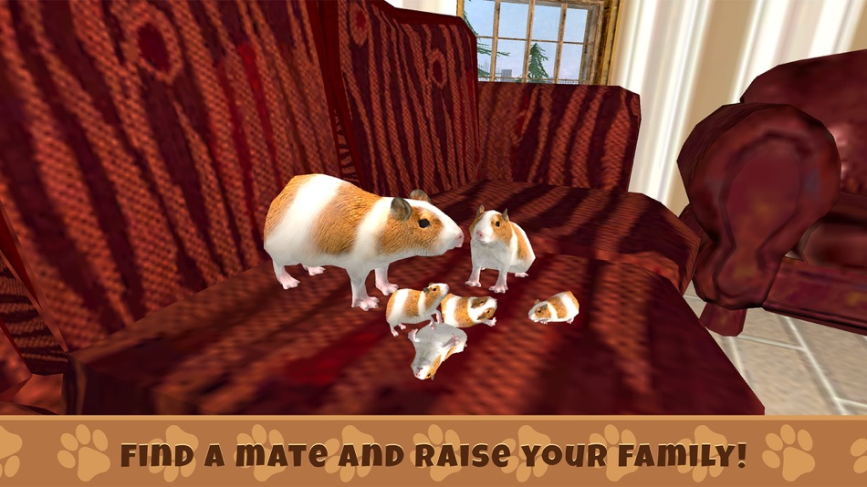#3. Guinea Pig Simulator Game (iOS) 来自: Juliia Blokhina