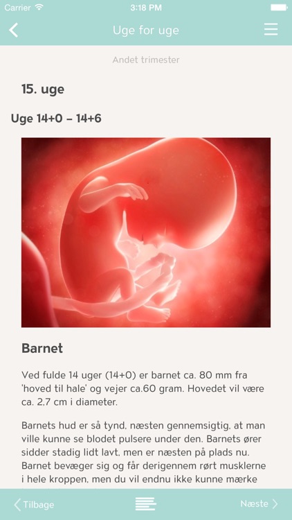 Pregnant – while you wait