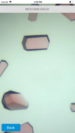 Cinder screenshot 5