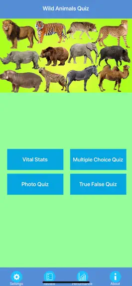 Game screenshot Wild Animals Quiz mod apk