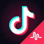 TikTok - including musical.ly