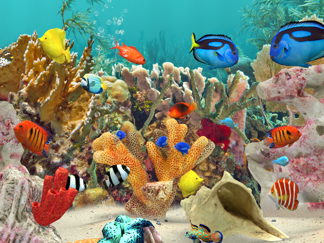 MyReef 3D Aquarium 3 - App voor iPhone, iPad en iPod touch - AppWereld