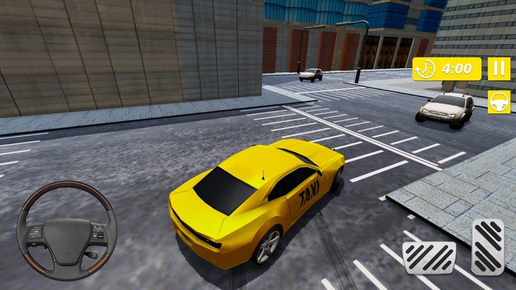 Real Taxi Cab Driver City