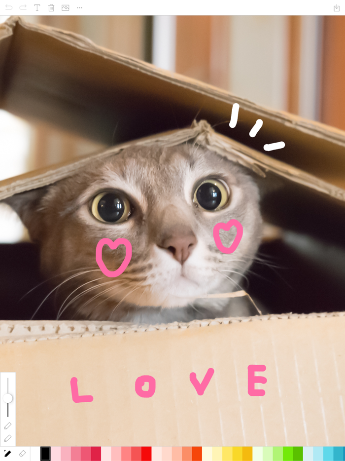 Finger Draw on Photo