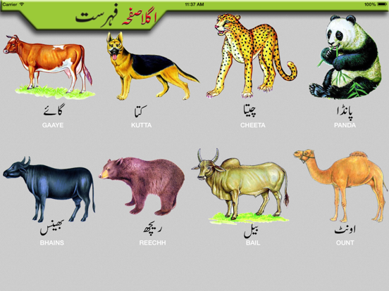 Toddler Urdu Qaidah Learningのおすすめ画像3