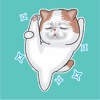 Hyper Cat Animated Stickers