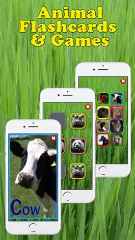 Game screenshot Play & Learn Animal Flashcards mod apk