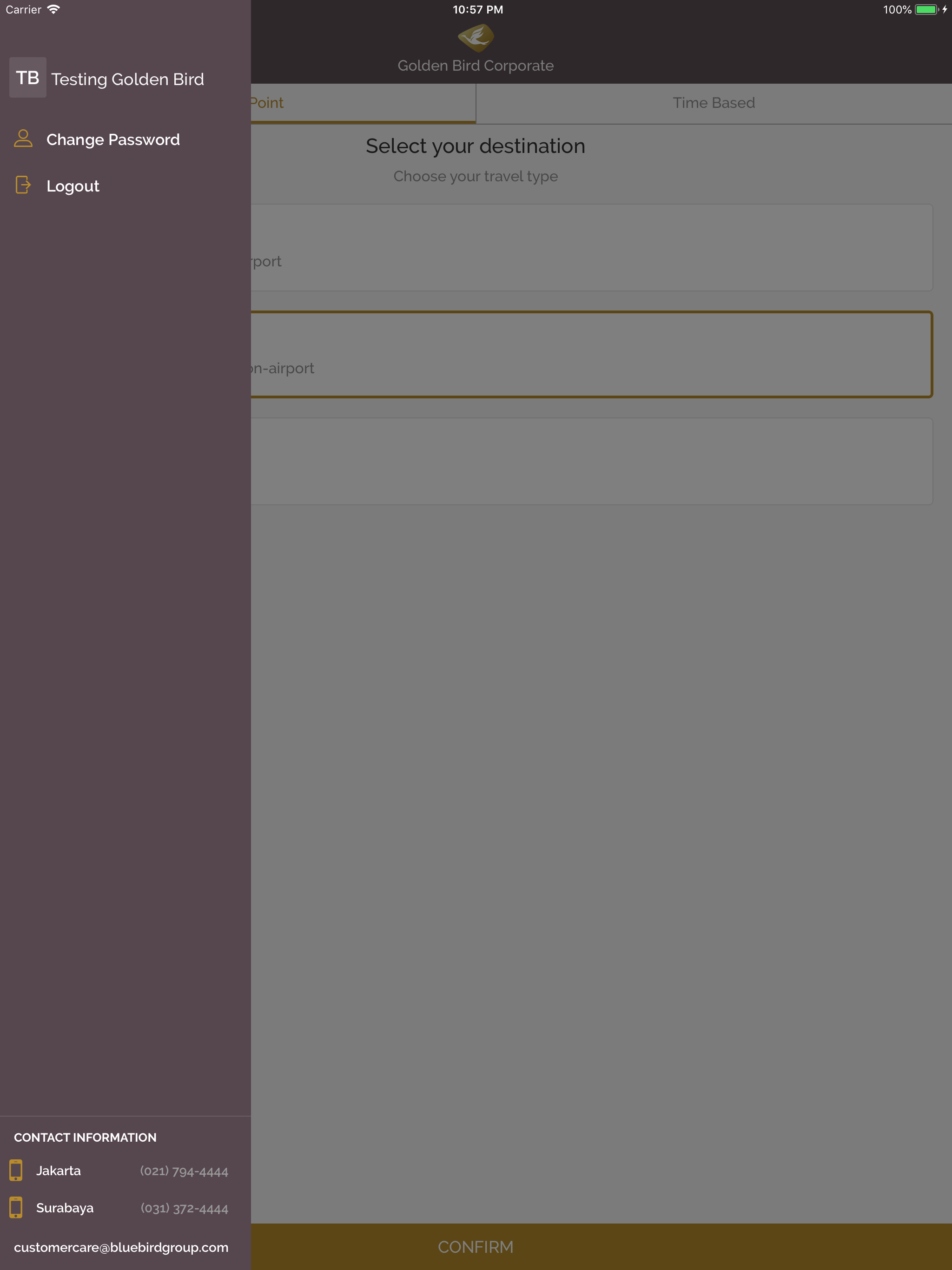 Goldenbird Corp screenshot 11
