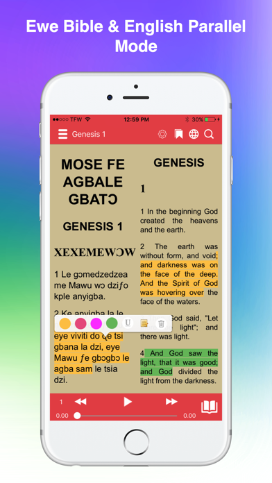 Screenshot #2 pour Ewe Bible