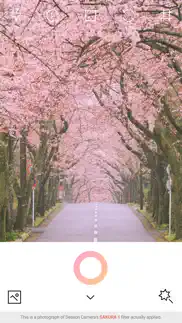 spring - season camera айфон картинки 1