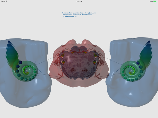 Screenshot #5 pour Auditory System Simulator
