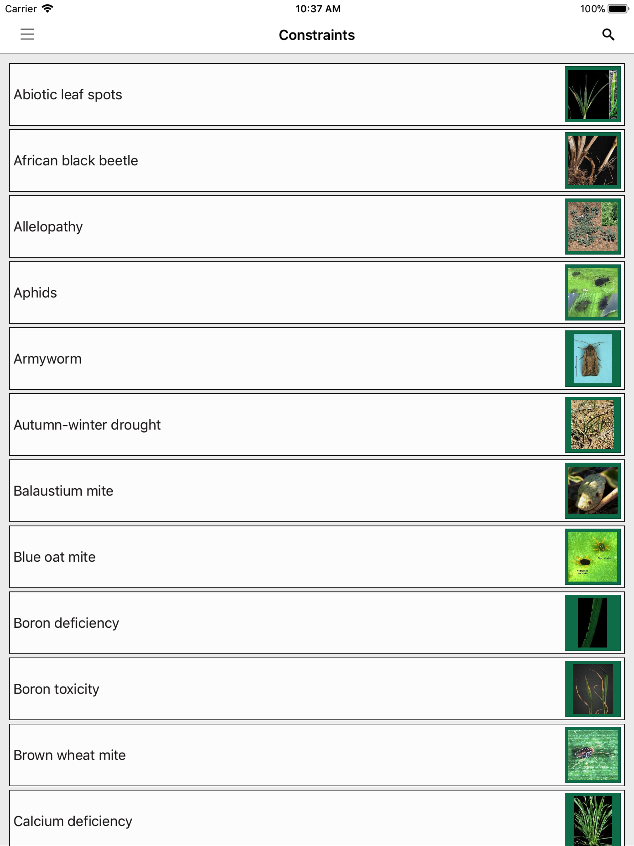 MyCrop Wheat