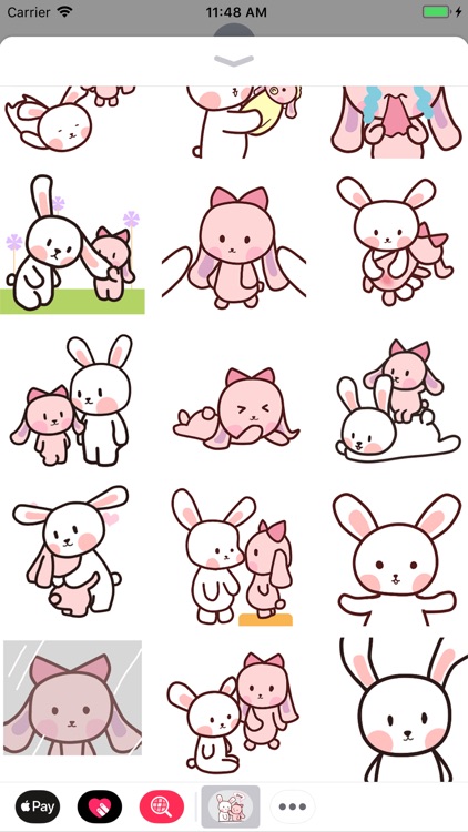 Pink and White Rabbit Animated