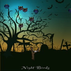 Activities of Night Birds