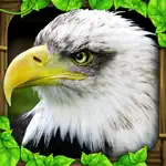 Eagle Simulator App Cancel