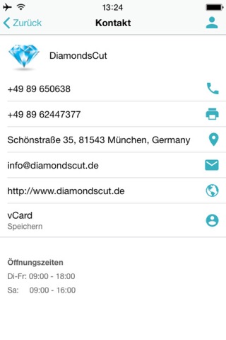 DIAMONDSCUT screenshot 2