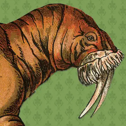 What the Walrus Knows Читы