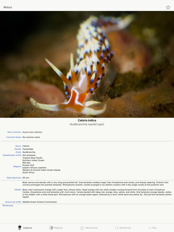 Screenshot #5 pour Nudibranches, by Reef Life