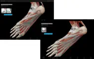 Muscle Premium iphone bilder 2