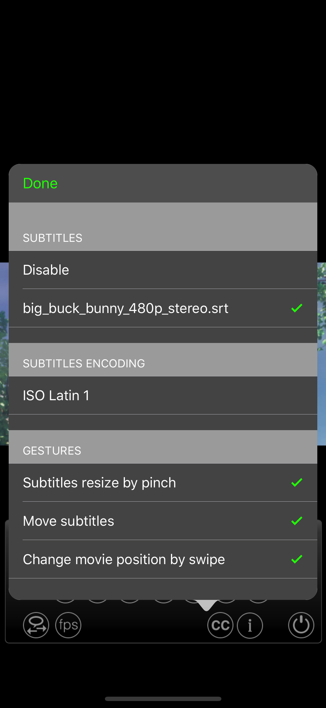 Subtitles Player