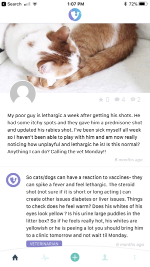 TapVet(圖9)-速報App