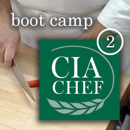 CIA Boot Camp 2 icon