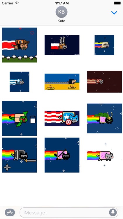 National Flag And Nyan Cat
