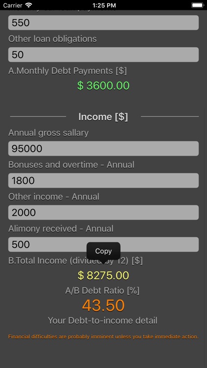 Debt 2 Income Calculator screenshot-4