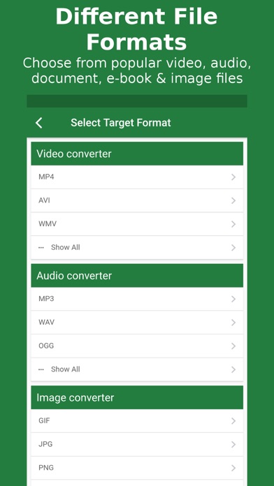 File Converter - By Online-Convert.com screenshot 2