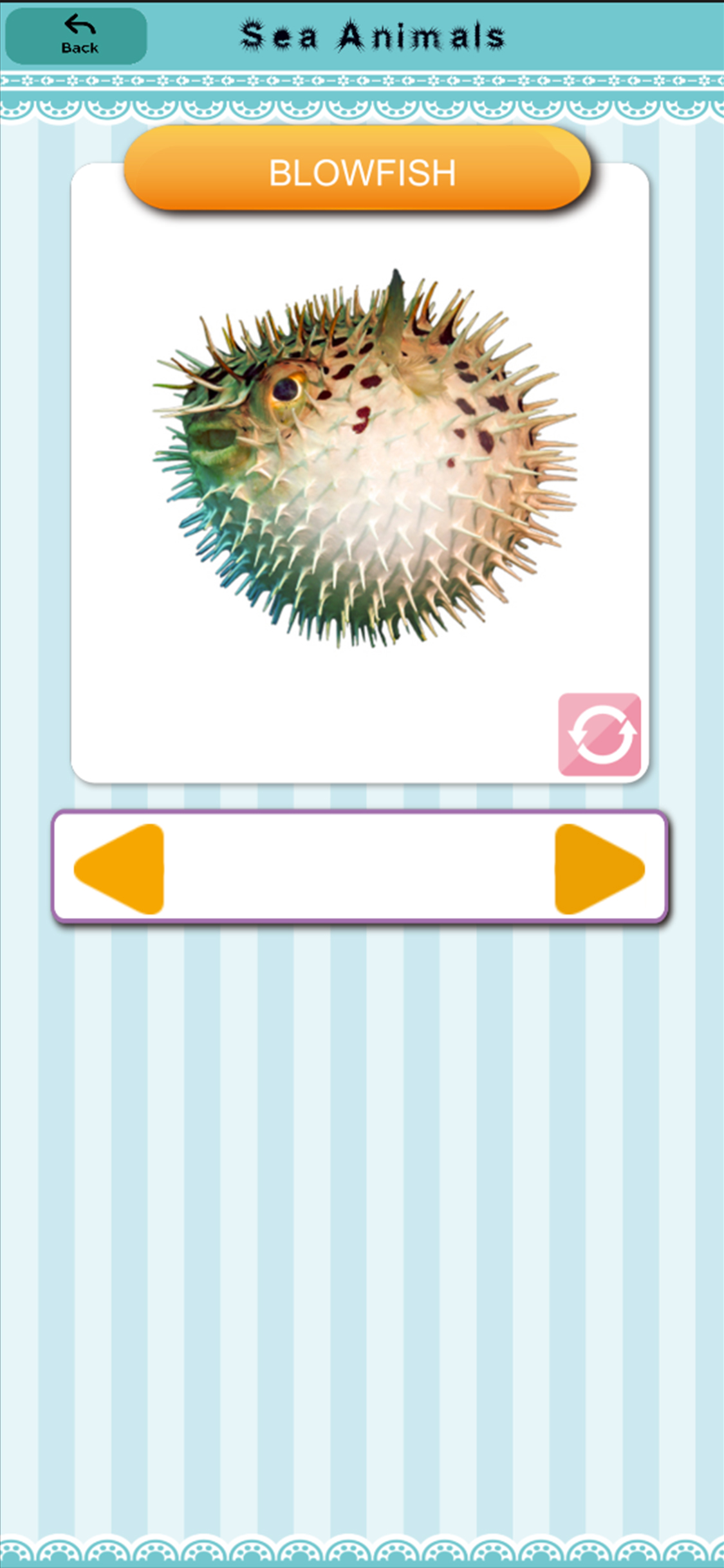 English FlashCard Kids screenshot 3