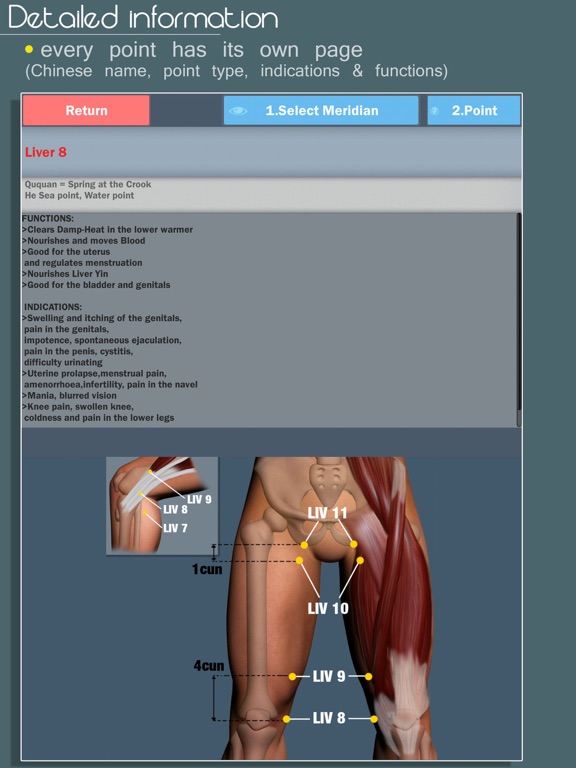 Screenshot #4 pour Easy Acupuncture 3D - LITE